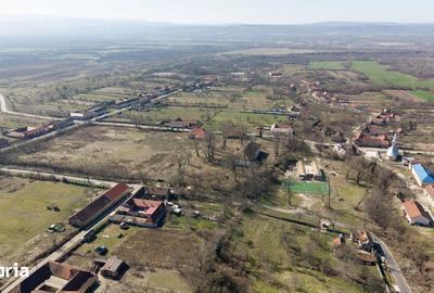 Casă cu 8 camere cu Teren 7235 Mp în Traian Vuia - 5