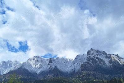 Casa vila pensiune teren Zamora apartament castel Cantacuzino - 8