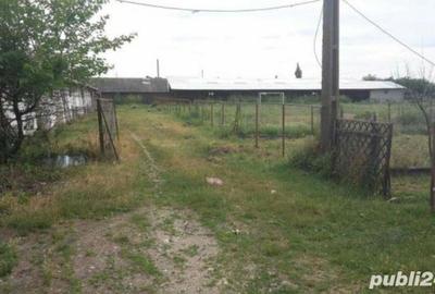 Spațiu comercial, de 1,200 mp, în Potlogi - 7