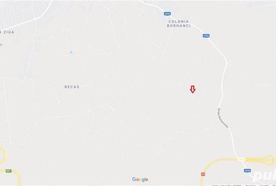 Teren de 4039 mp, în Borhanci - 9