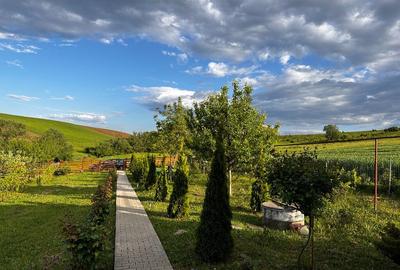 Casa de vacan?a in Ludu?, zona Candarai intre Cluj ?i Tg-Mure? - 9