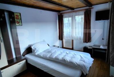 Hotel/Pensiune, în Brazda lui Novac - 6