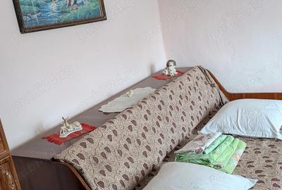 Casă cu 3 camere în Movila