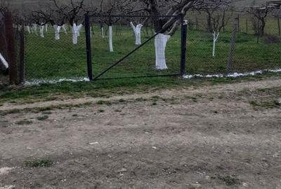 Spațiu comercial, în Orlat - 2