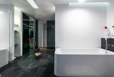 Apartament cu 7 camere, mobilat în Herăstrău - 5