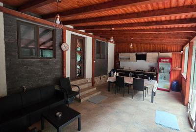 Casă P+1 golful Mraconia cu vedere la apă, 2 km de Chipul lui Decebal - 2