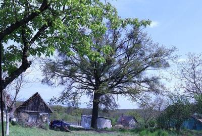 Spațiu comercial, în Central - 4