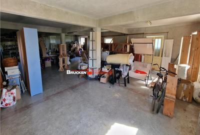 HALA INDUSTRIALA | GHENETEA - 2