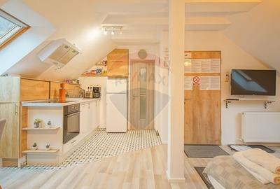 Casa cu 5 studiouri independente, terasa rooftop, vedere montana - 45