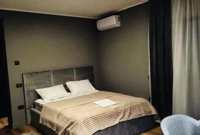 Garsonieră decomandată, mobilată în Dumbrăvița - 1