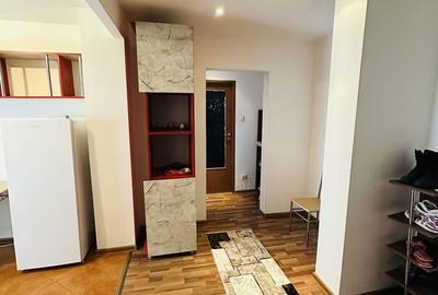Apartament cu 2 camere decomandat în Lăpuș Argeș - 4