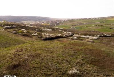 Teren de 1800 mp, în Sânmartin