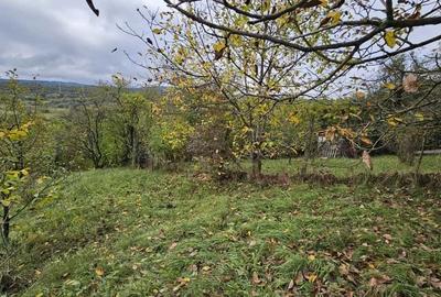 0 % comision, Lot format din 3 parcele de teren, zona Antonio Gaudi - 5