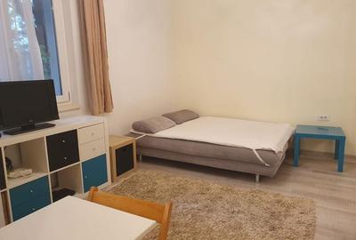 Garoniera - zona Primaverii - 7