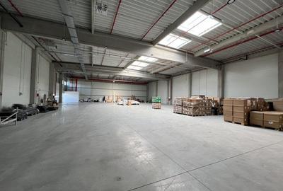 Hala moderna / Productie / Depozitare - 5