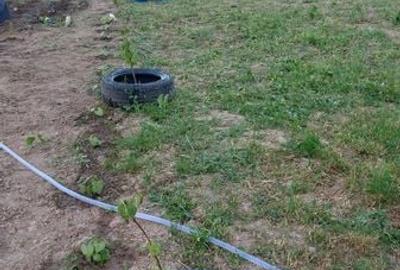 Casă cu 2 camere cu Teren 86 Mp în Central - 5