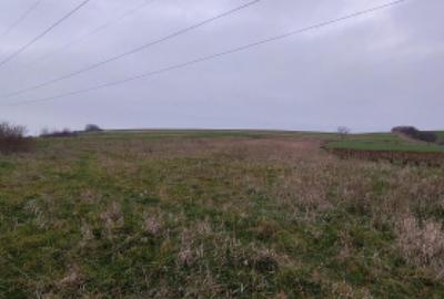 Teren de 4760 mp, în Ghercești