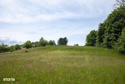 Spațiu comercial, în Moieciu - 7