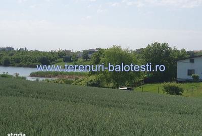 Spațiu comercial, în Balotești - 9