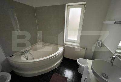 Apartament 3 camere 160mp+curte 300mp, AC, centrala termica, zona Ford - 19