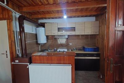 Cabana si teren in Bucuresci, Hunedoara - 4