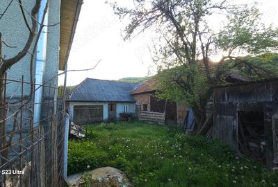 Casă cu 4 camere cu Teren 3030 Mp în Vale - 4
