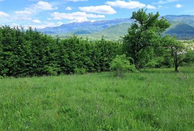 Teren  de vanzare la liziera padurii in Talmaciu
