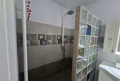 Inchiriere Vila De Lux in Tara Fagarasului Inchiriere Vila De Lux in Tara Fagarasului - 17