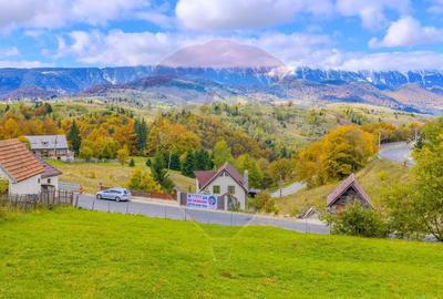 Casa de vacanta | Pensiune 3 Margarete | FUNDATA, BRASOV| COMISION 0 | - 55