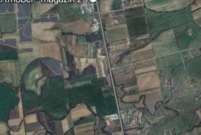 Teren Construcții intravilan de 1505 mp, în Moșnița Nouă - 3