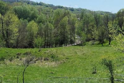 Teren de 7795 mp, în Opătești - 3