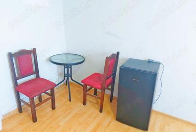 Sagului - garsoniera - 10