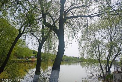 Casă cu Teren 830 Mp în Chiriacu - 1