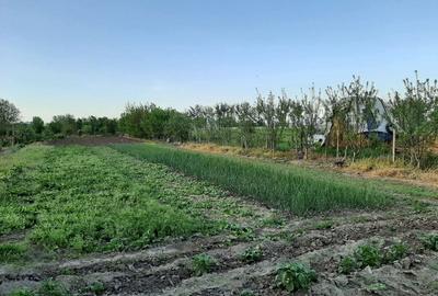 Teren de 4000 mp, în Măgureni - 6
