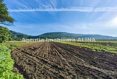 Teren de 4094 mp, în Șoimuș - 2