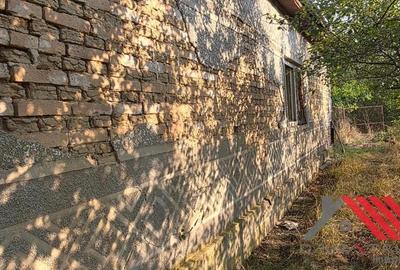 Topolova?u Mare Casa si Teren 1683 mp - 48.500 euro - 6