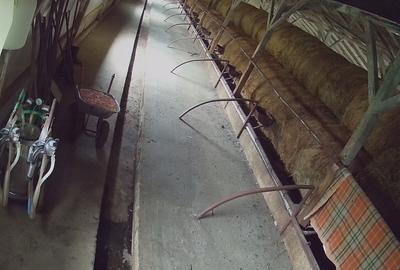 Dorohoi, Botosani Dorohoi, Botosani - 8