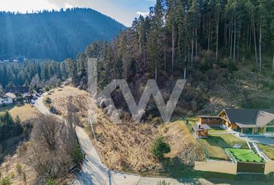 Teren Construcții intravilan de 1000 mp, în Săcele - 17