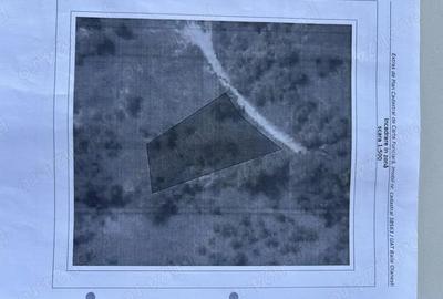Teren de 864 mp, în Gurguiata - 3