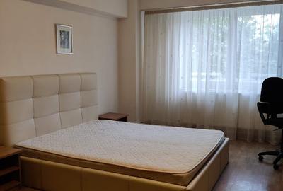 Apartament cu 2 camere decomandat, mobilat în Tineretului - 8