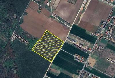 Teren de 64000 mp, în Dragomirești-Deal