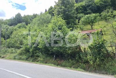 Teren 2500 mp la drum pe Valea Stezii Curmatura Rasinari - 3