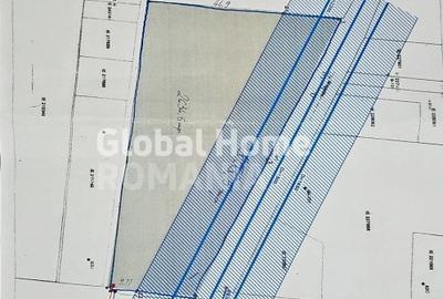 Proiect Comercial | Teren Intravilan 4.493 mp - Dubla Deschidere | Magurele - 7