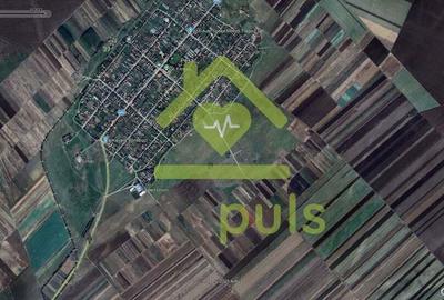 ? Teren extravilan la Pesac de 5.000 mp (1,4 euro/mp)? - 1