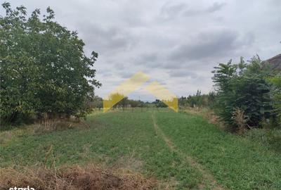 Casă cu 5 camere cu Canalizare în Central - 4