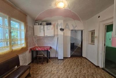 Casă cu 3 camere cu Teren 12955 Mp în Jdioara - 2