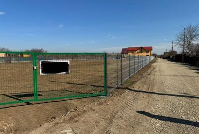 Teren Construcții intravilan de 3000 mp, în Mogoșoaia - 4