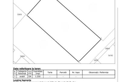 Spațiu comercial, în Sângeorgiu de Mureș - 6