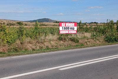 Teren de 9600 mp, în Central