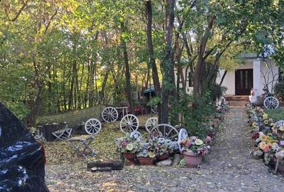 Casă cu 4 camere cu Teren 3000 Mp în Zorleni - 8